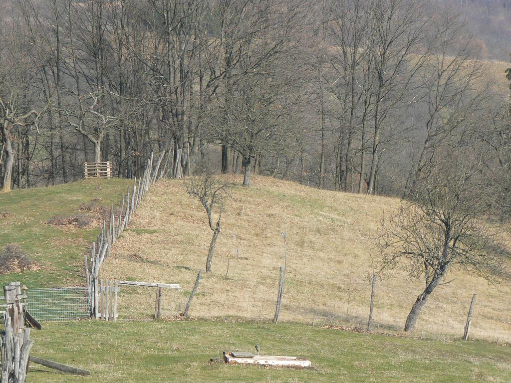 Country House Stoljetna Vila Seona Exteriér fotografie