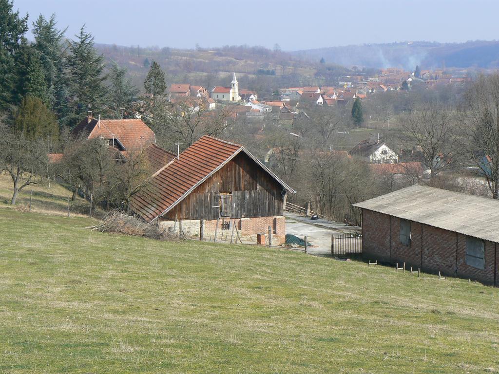 Penzion Country House Stoljetna Vila Seona Exteriér fotografie