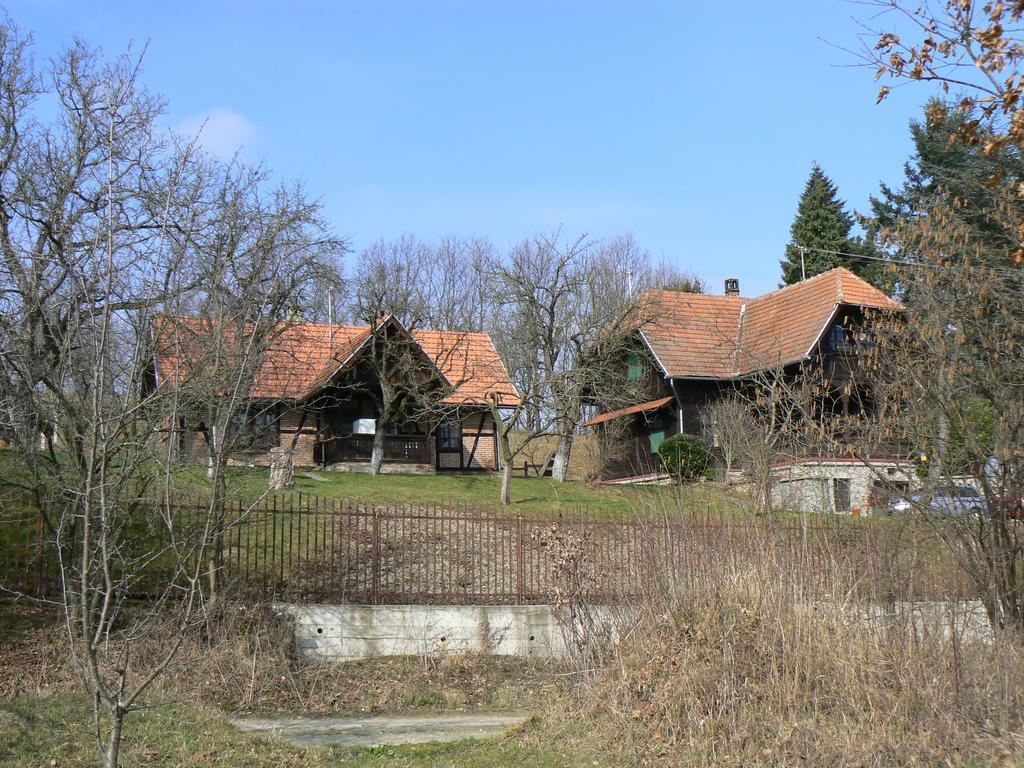 Penzion Country House Stoljetna Vila Seona Exteriér fotografie